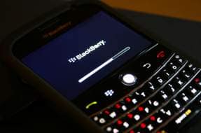blackberry