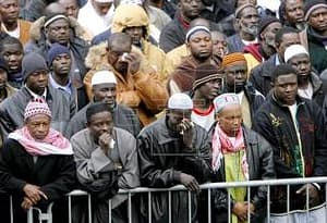 bronx grupo minoria pobres EEUU