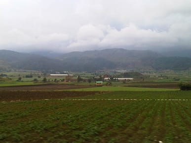 Montanias de Constanza