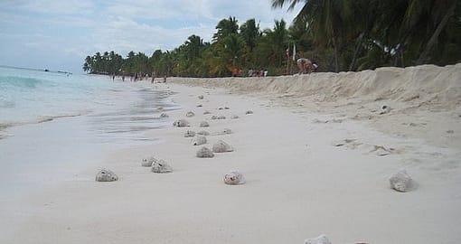 Isla Saona
